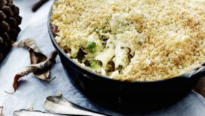 Pastagratin met truffel en vier kazen