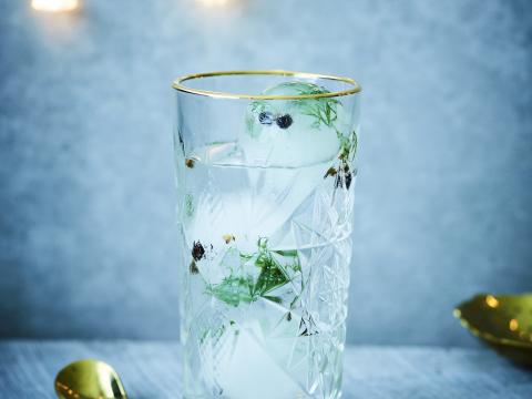 Gin-tonic met botanical-ijsblokjes