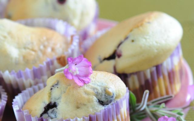 Muffins aux myrtilles