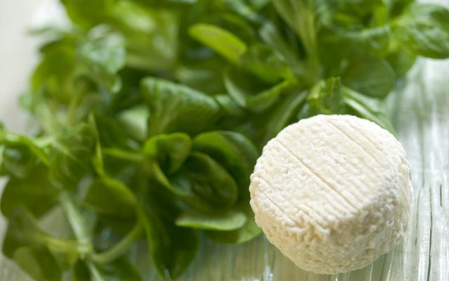 Salade au chèvre chaud, vinaigrette au miel