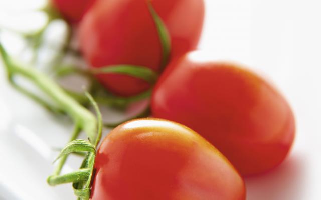 Tomates crevettes, sauce cocktail