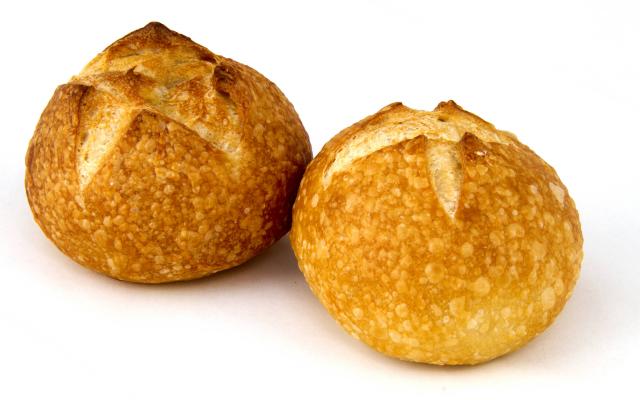 Pistolets aux crevettes grises