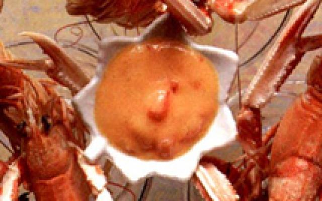 Sauce piquante