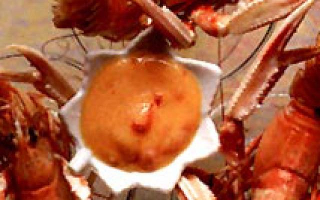 Gestoomde langoustines in een dipsausje