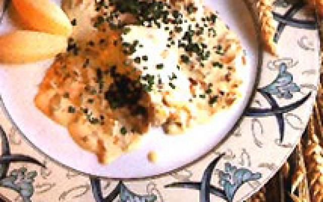 Tongschar met Belgisch witloof