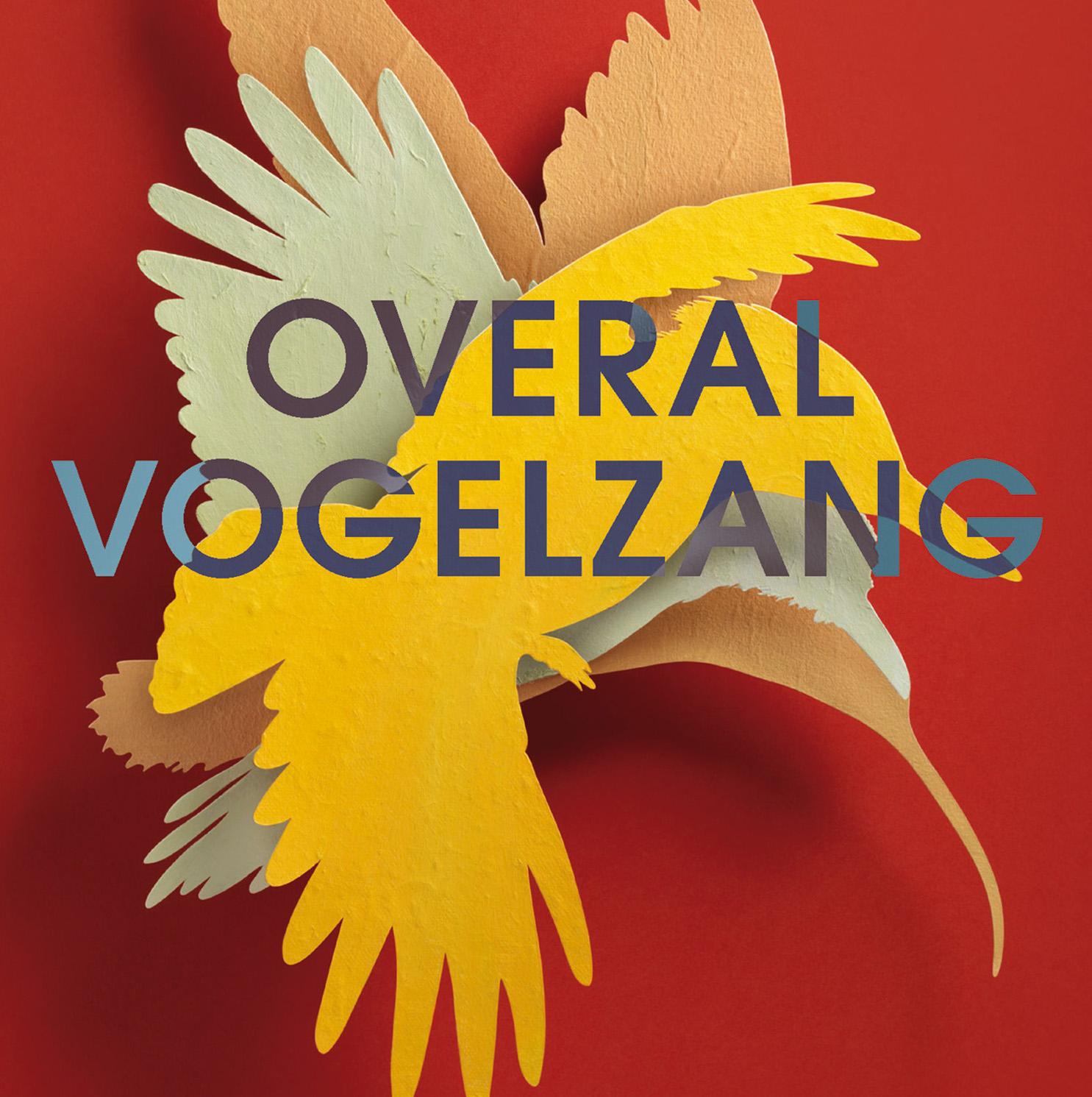 Evie Wynd, Overal Vogelenzang, wedstrijd, roman, boek