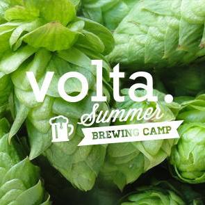 volta summer brewing