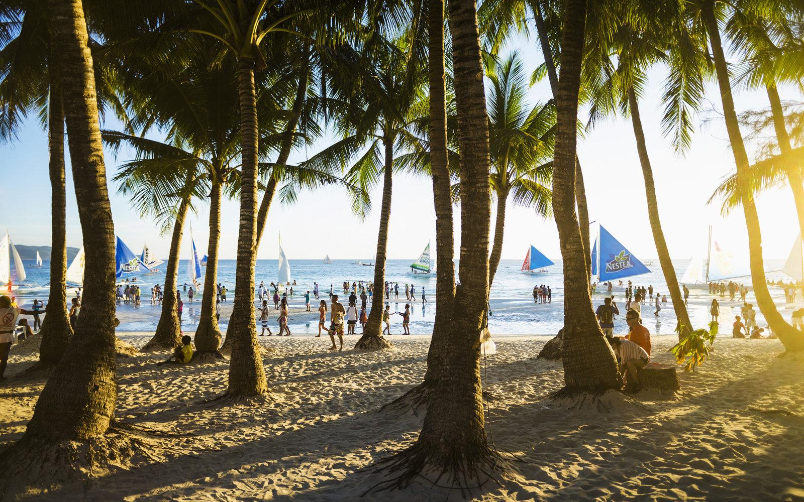 Coconut trees on White Beach, Boracay, Philippines
