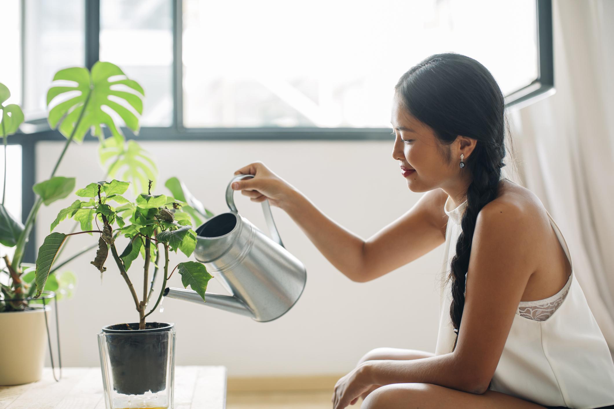 L Astuce Toute Simple Pour Savoir Si Vos Plantes Ont Besoin D Eau