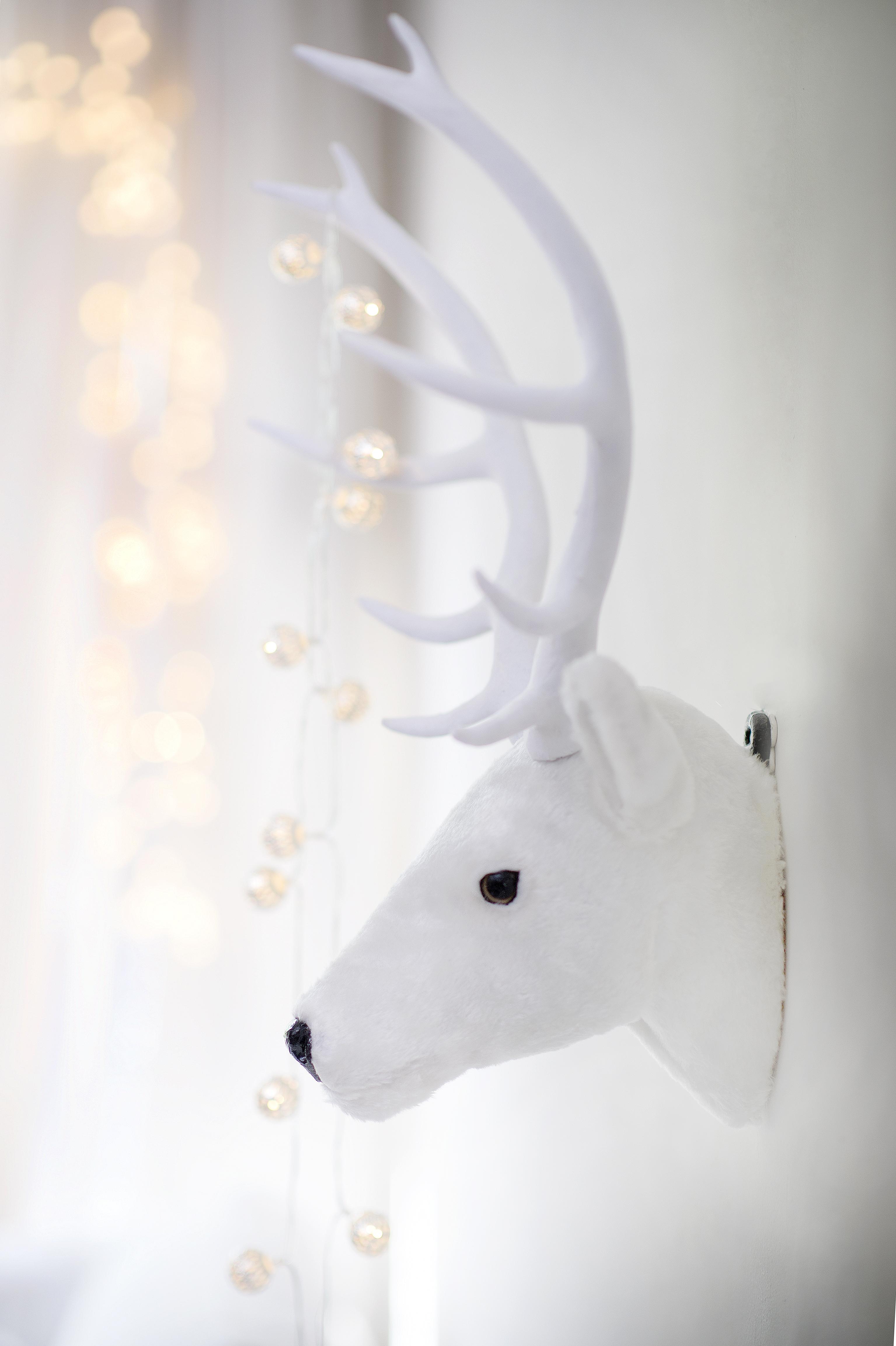 blokker_©_karlbruninx_(32).jpg FR