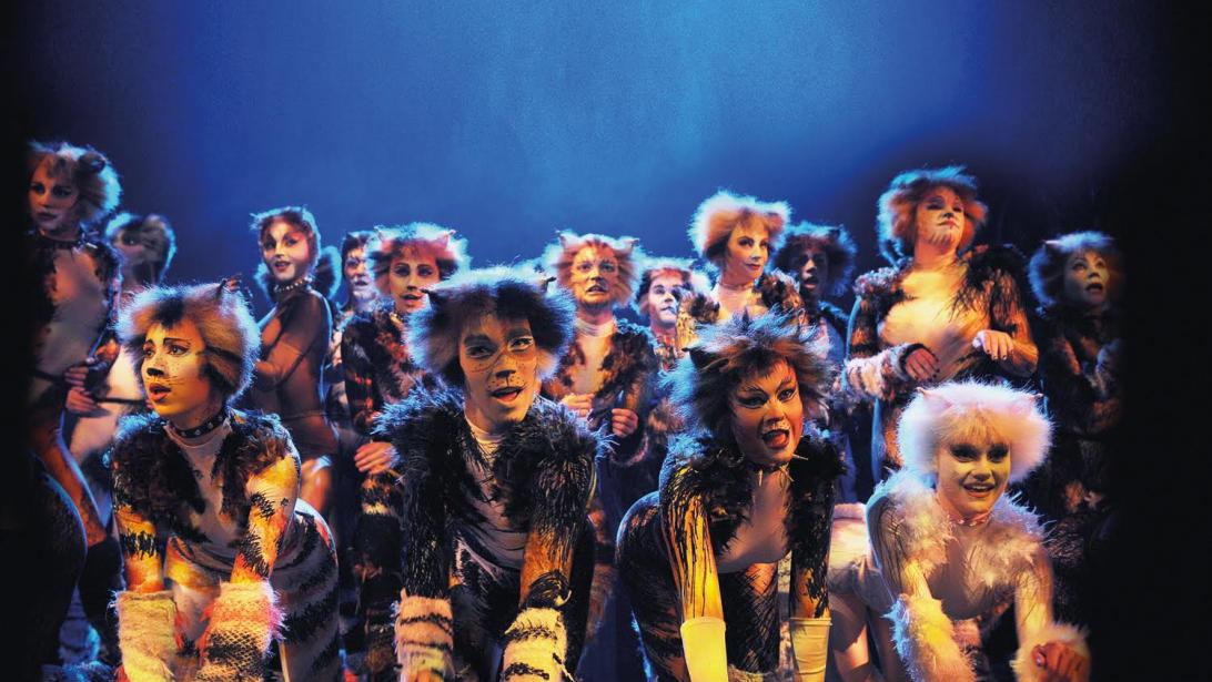 Comédie musicale: les "CATS" sortiront leurs griffes à Anvers! Comédie musicale: les "CATS" sortiront leurs griffes à Anvers!
