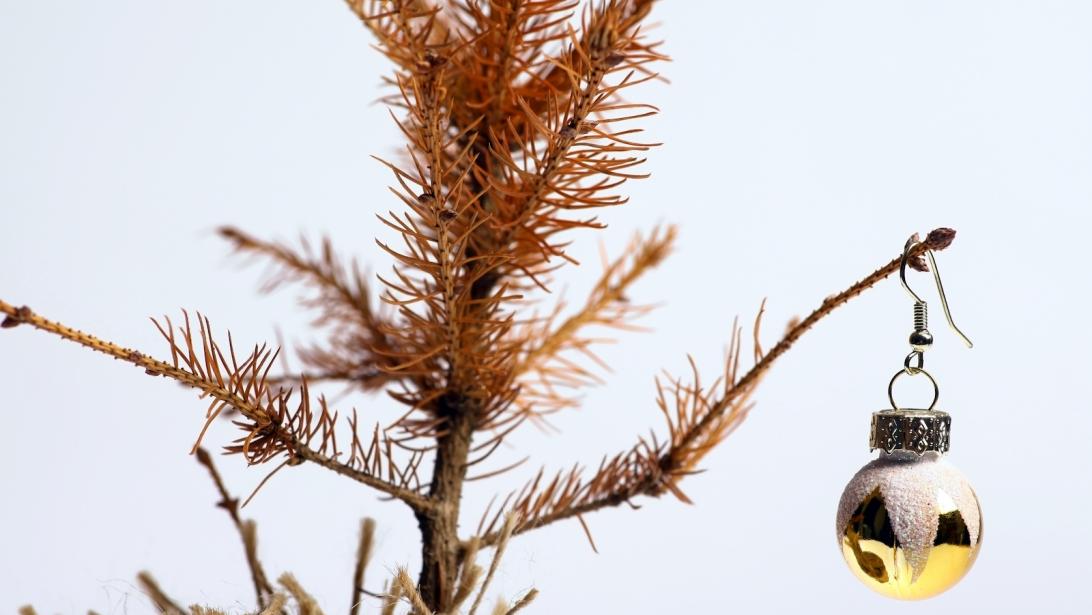 Sapin de Noël: comment s'en débarrasser proprement? Sapin de Noël: comment s'en débarrasser proprement?