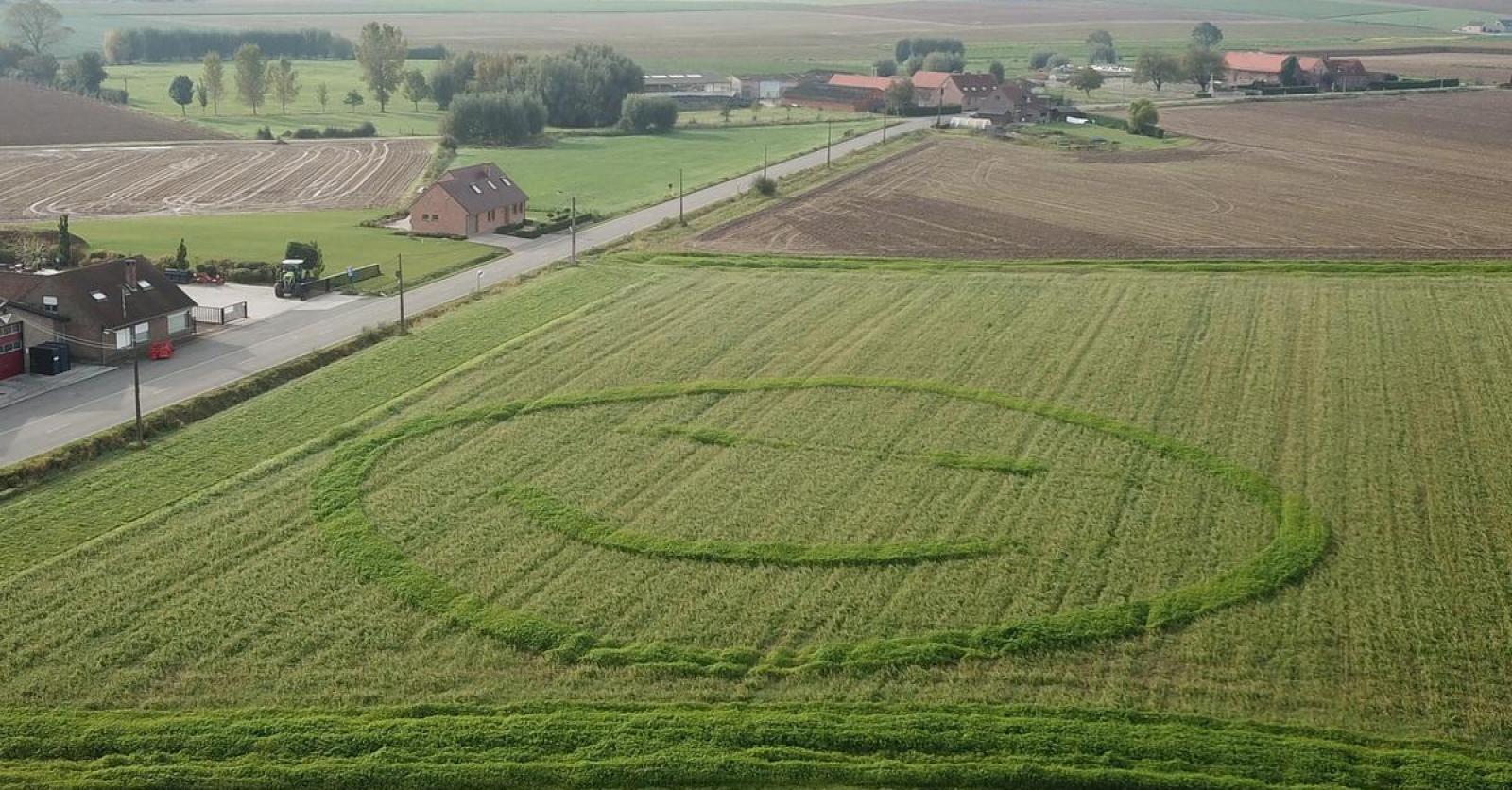 Landbouwer Maakt Veld Op Bijzondere Manier Winterklaar Met Een Smiley