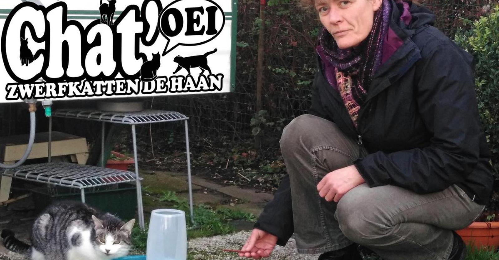 Stem Heidi Moke Tot Krak Van De Haan Kw Be