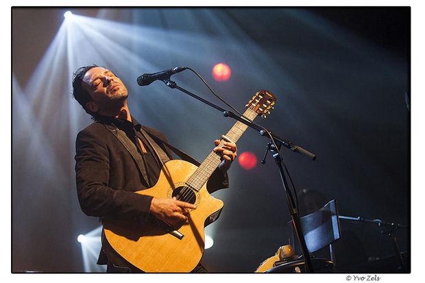 Adam Cohen Botanique De Appel Valt Niet Ver Van De Boom