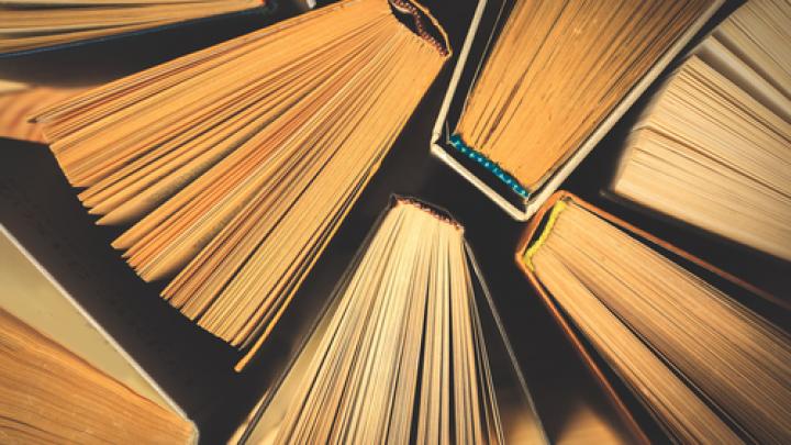 De nieuwste boeken om te verslinden tijdens de wintermaanden De nieuwste boeken om te verslinden tijdens de wintermaanden