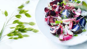 Salade van rode biet, truffelaardappel en radijs