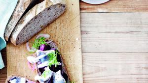 Boterham met rode biet, zure haring en dille
