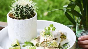 Burrito's met kip en avocado