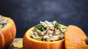 Gevulde pompoen met kip-paddenstoelenragout