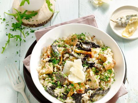 Risotto met bospaddenstoelen