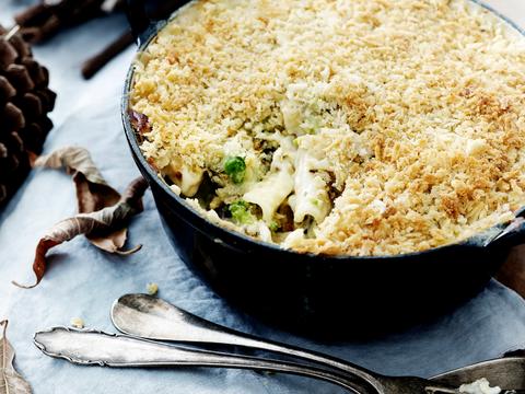 Pastagratin met truffel en vier kazen
