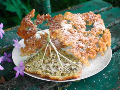 Vlierbloesembeignets