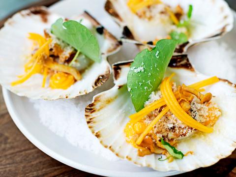 Sint-jakobsvruchten met pompoen, girolles & hazelnoot