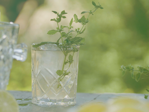 Gember cocktail