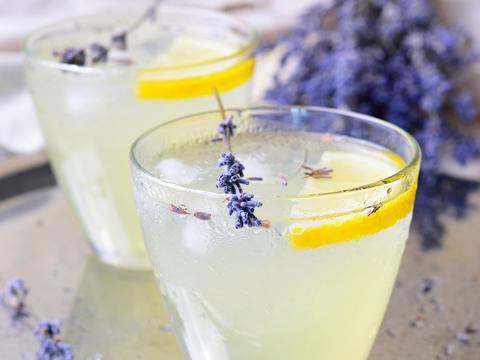 Lavendel
