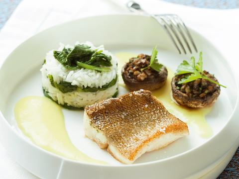 Snoekbaars