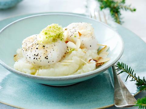Sint-jakobsvruchten met knolselderpuree