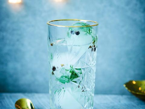 gin-tonic botanical