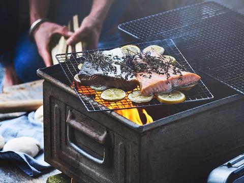 Gegrilde zalm op citroen