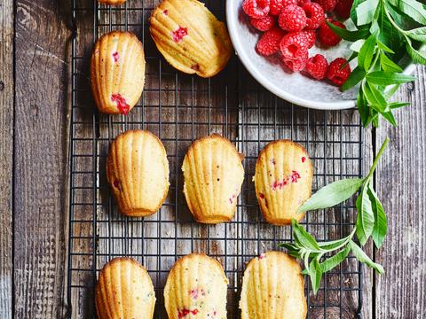 Madeleines met citroenverbena en framboos