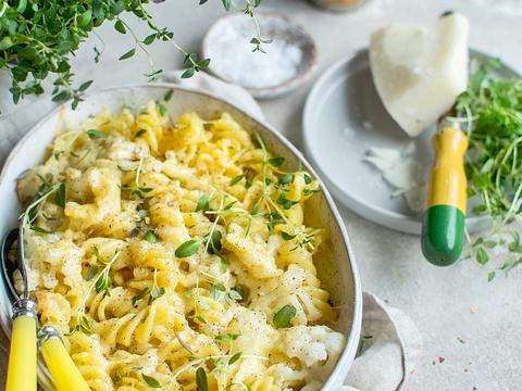 Pastaschotel met bloemkool, tijm en parmezaan