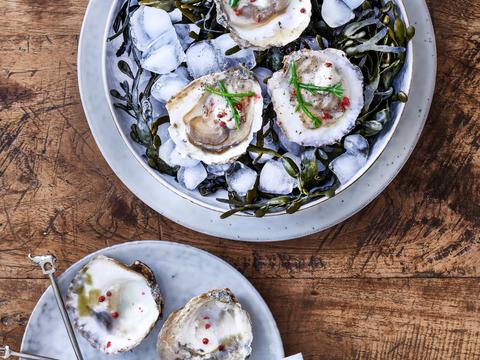 Sexy oesters