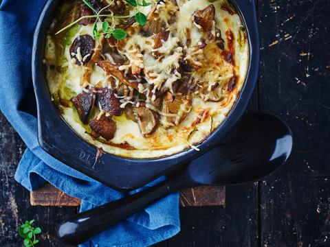 Lasagne van koolbladeren en boschampignons
