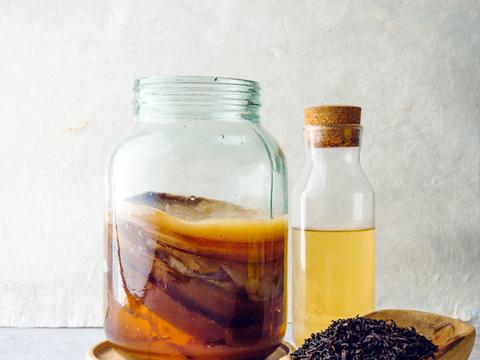 Kombucha