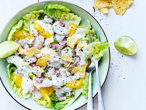 Ceviche van zeebaars en octopus met mangopuree