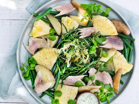 Krieltjessalade met gerookte forel