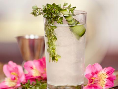 Cucumber Fizz