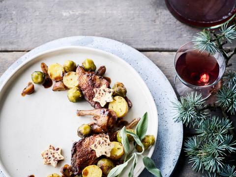 Duif met kerstboter