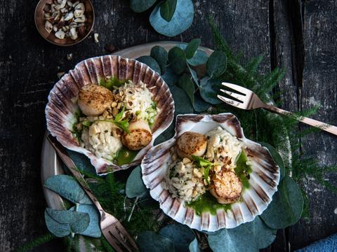 Gebakken sint-jakobsvruchten met hazelnoot-kruidenrisotto