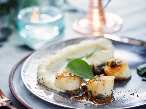 Sint-jakobsvruchten met bloemkoolcrème