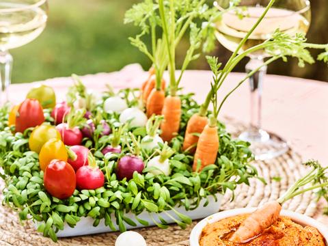 Groentetuintje met hummus van zoete aardappel