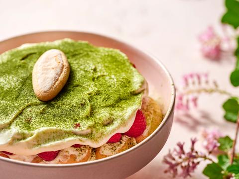 Wittechocoladetiramisu met matcha