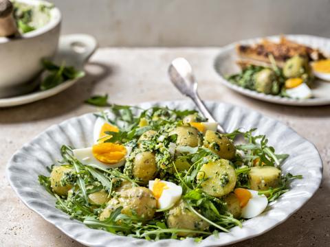 aardappelsalade met pesto en gegrilde kip