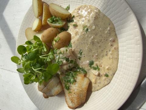 Grietfilet