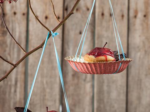 appelcupcakeboom